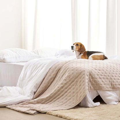 Dotted Pattern Quilt Set - Pet Hair Repellent for Families with Dogs/Cats