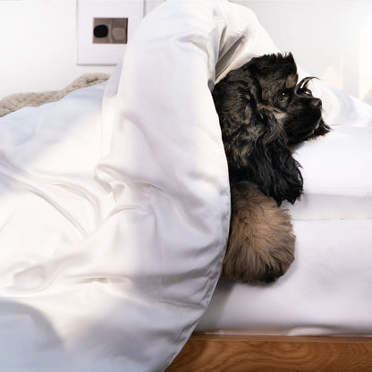 Bamboo Duvet Cover - Pet Hair Repellent for Dogs/Cats Family